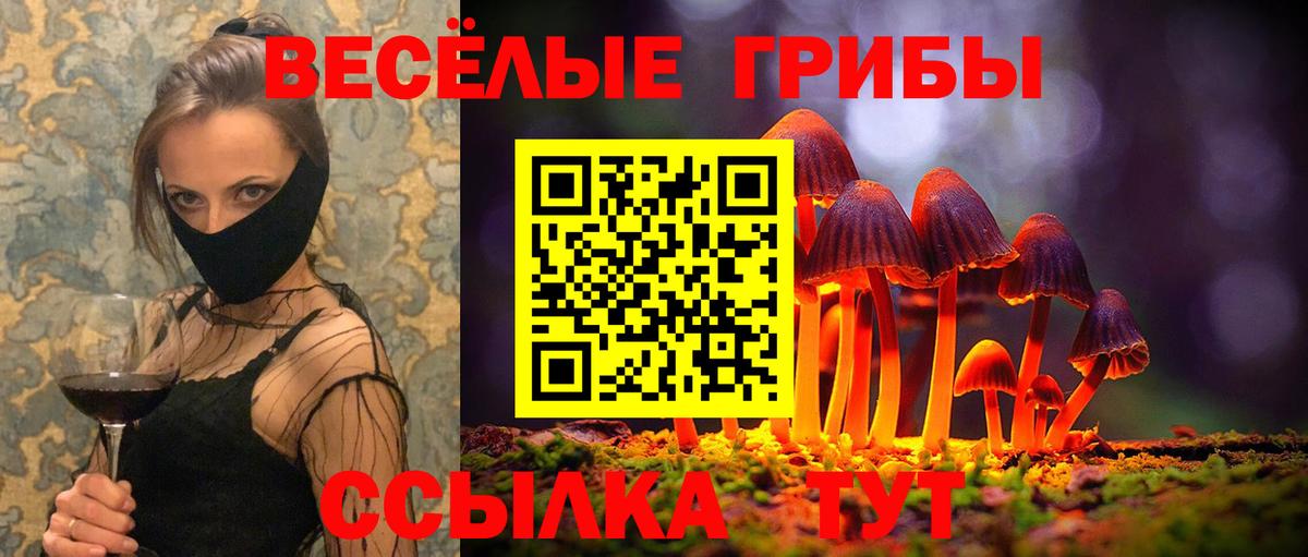 Псилоцибиновые грибы Psilocybe Кисловодск